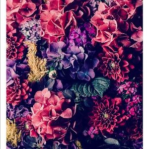 Meet your Posher, Perla